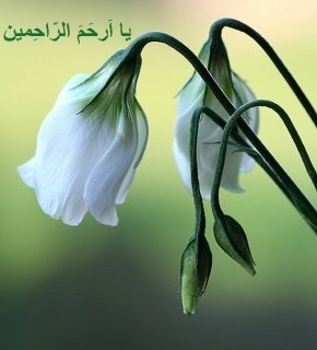 دعای روز سه شنبه