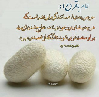 حریص به دنیا